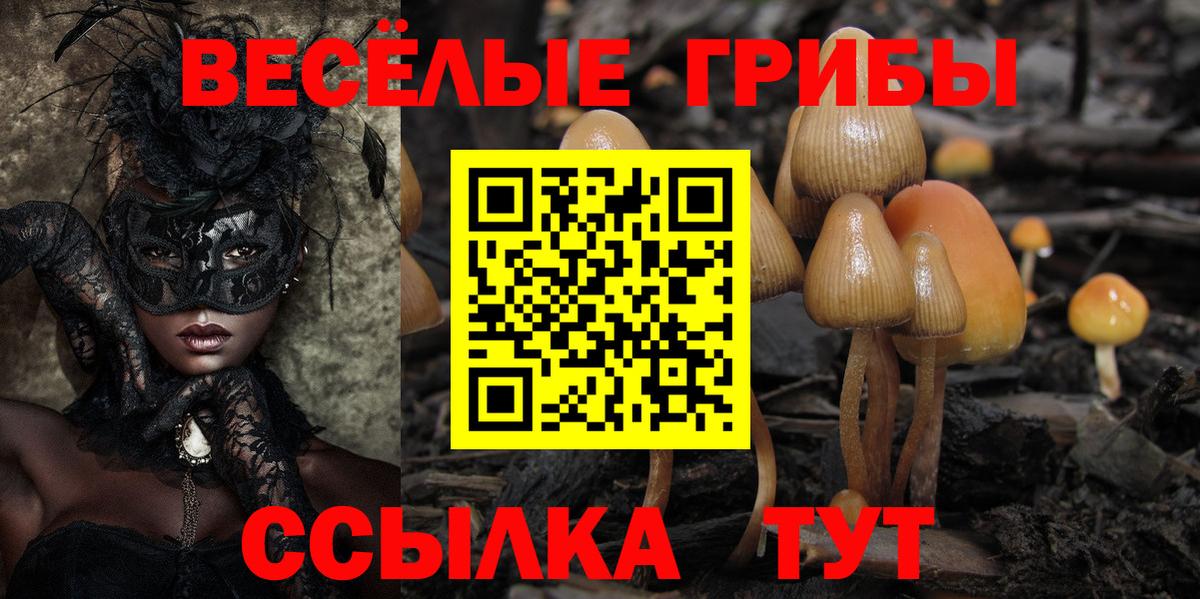 Котовск  где купить   Вход с VPN  Галлюциногенные грибы Magic Shrooms  Псилоцибиновые грибы прущие грибы 