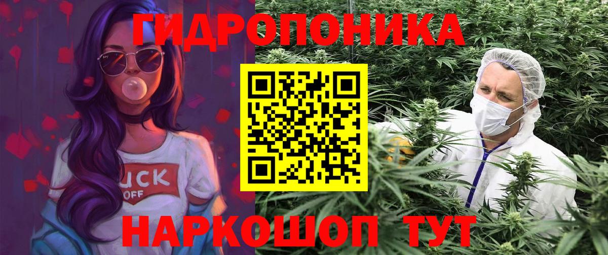 Конопля OG Kush Котовск